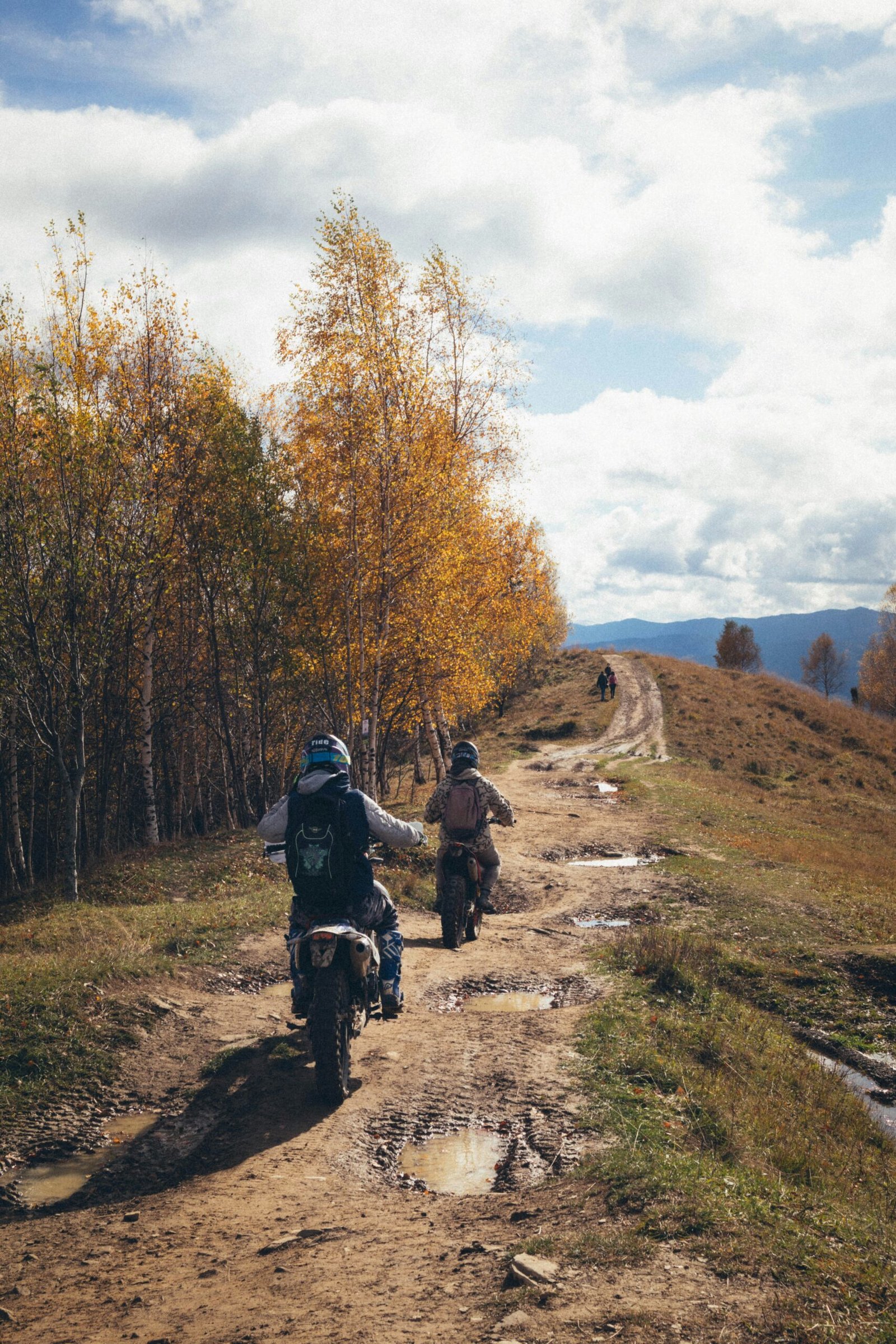 Raising a Teenage Boy